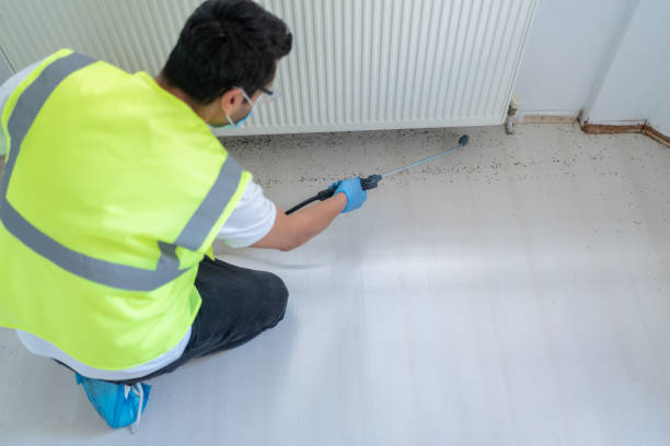 Best Pest Exclusion Services  in Flordell Hills, MO